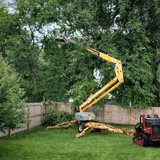 Best Lawn Dethatching  in Cadott, WI