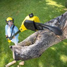 Mulching Services in Cadott, WI